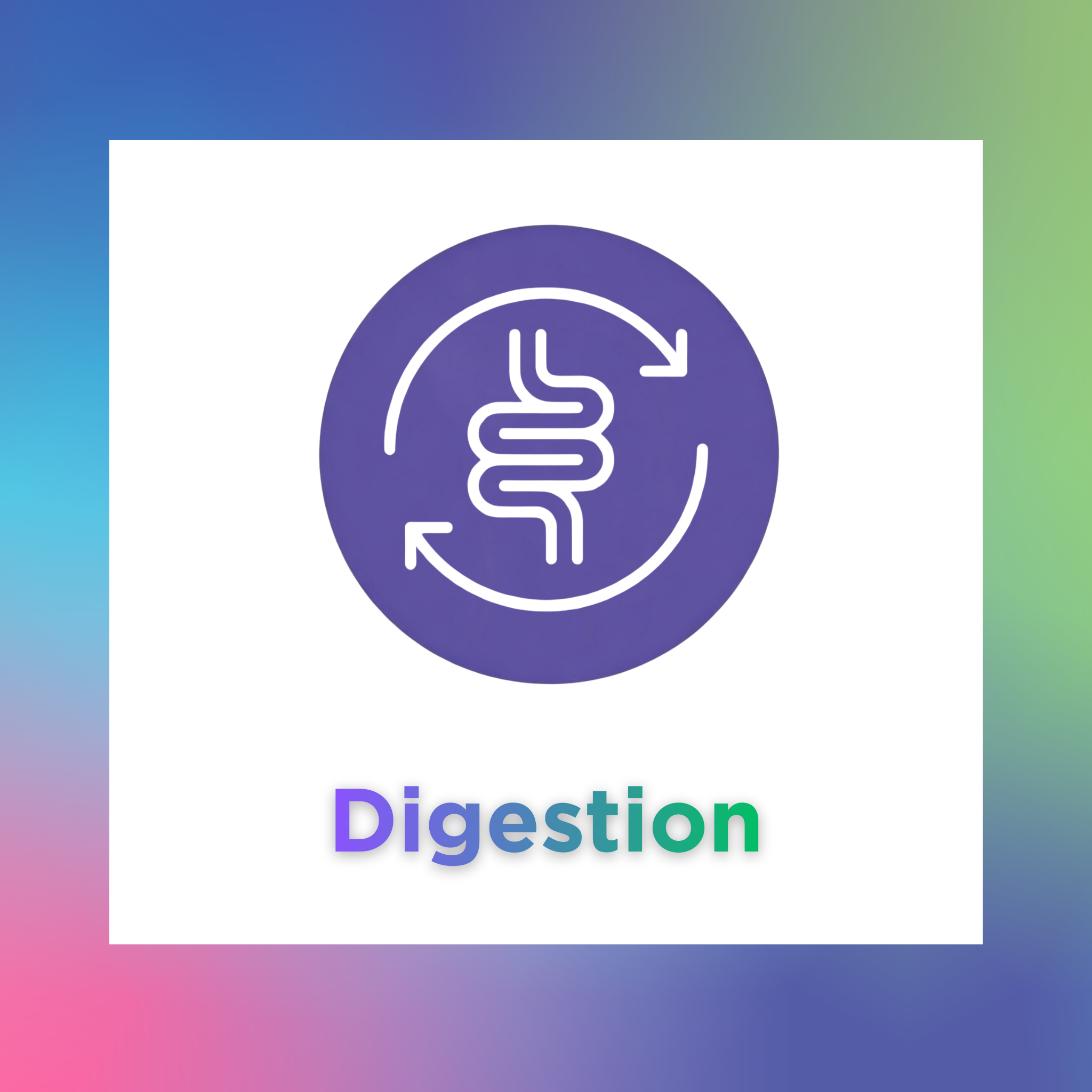 Digestion