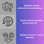 Magnesium Creatine